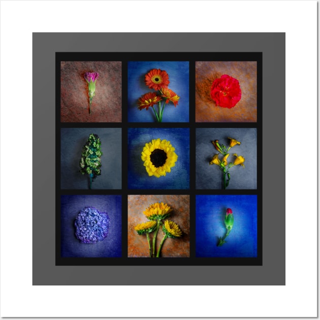 Still Life Plant Life Fine Art Wall Art by Photo Artist